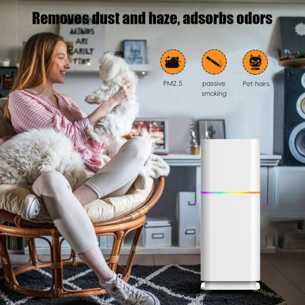 ODM HEPA Room Dust Purifier Residential Air Purifier 240V For PM2.5