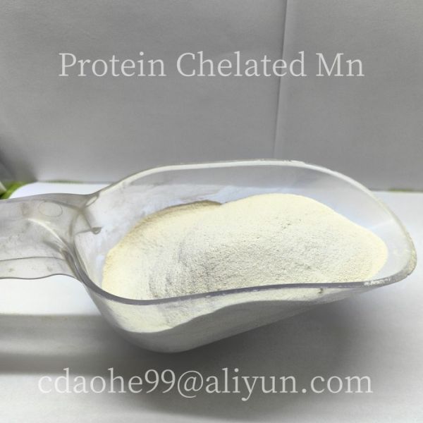 Feed Grade Icariin Epimedium P.E. Plant Extracted Powder For Animal Healthy