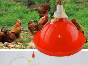 China Poultry Drinking Lines System 80pcs Chicken Feeders And Drinkers on sale