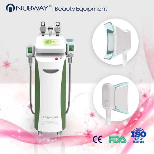 Loss 26% fat low price fat freeze cryolipolysis vacuum slimming beauty machine