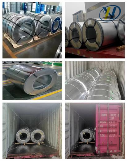 0.25mm Thickness Hot Galvanized Steel Coil For Decoration SGCC TS550-570
