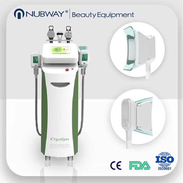 Low price fat freezing cryolipolysis vacuum slimming beauty machine