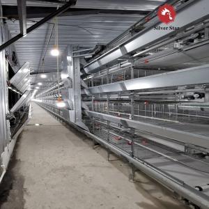 China Poultry Feeding Line Broiler Farming Equipment With Automatic Feeders And Drinkers on sale