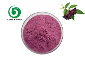 Cheap 100% Natural Herbal Black Elderberry Fruit Extract Elderberry Powder for sale