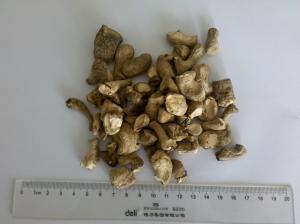 Cheap HACCP Standard Dried Shiitake Mushrooms / Chinese Dried Mushrooms Leg Cubes for sale