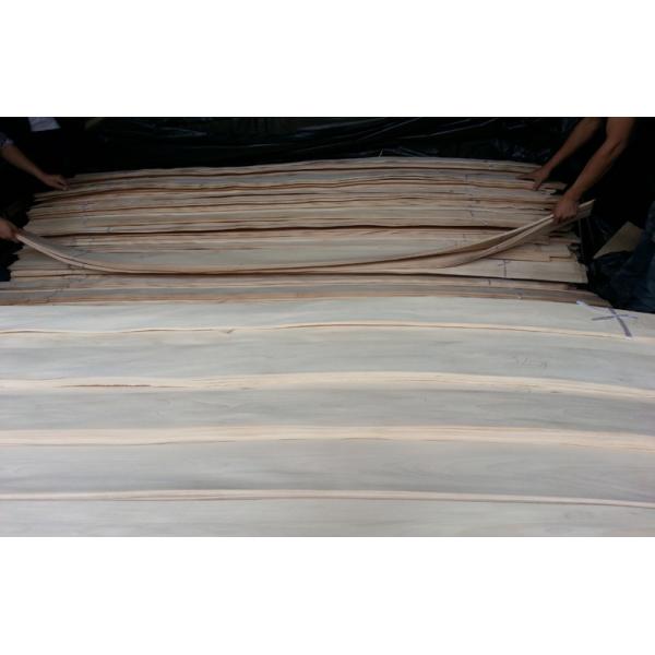 AA Grade Bleached / White Birch Wood Veneer Rotary Cut Constructional