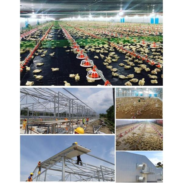 CE Livestock Farm House Steel Structure Chicken House And Equipment For Chicken