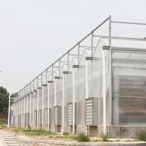 China Agriculture Hydroponic System Polycarbonate Sheet Greenhouse Multi Span 30 X 100 on sale