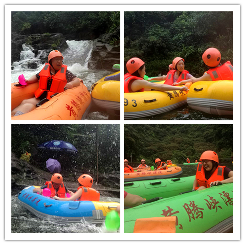 Shenzhen YuanTe Technology Co., Ltd. (Safegas)