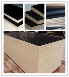 Cheap 12mm 15mm 18mm film faced plywood/marine plywood/shuttering plywood with poplar core for sale