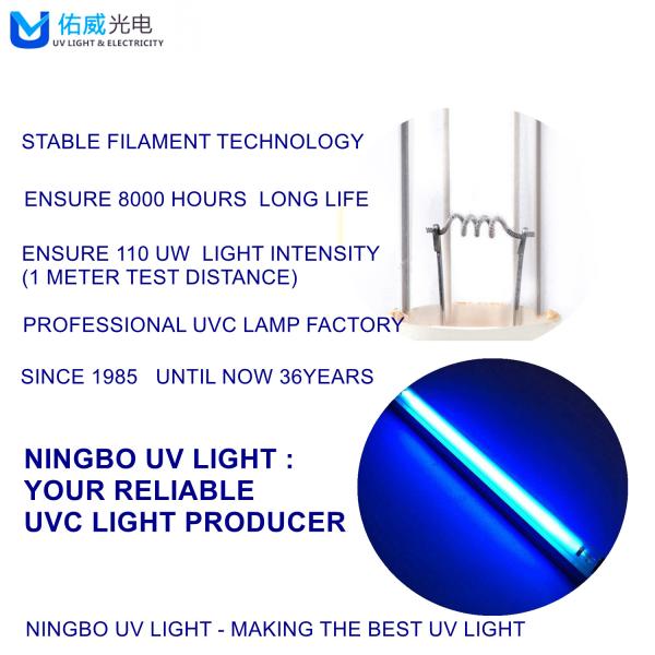 CE ROHS FCC Glass T8 UVC Disinfection Lamp 10W UV Wall Light