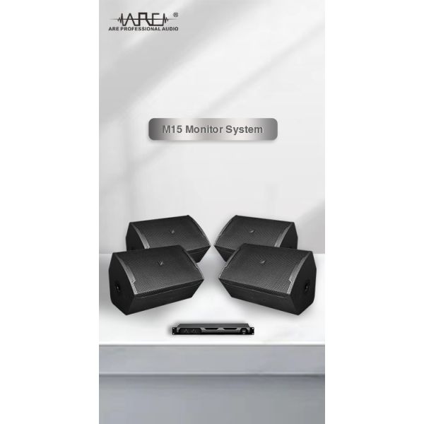 ARE AUDIO premium monitor system speakers for audiophiles