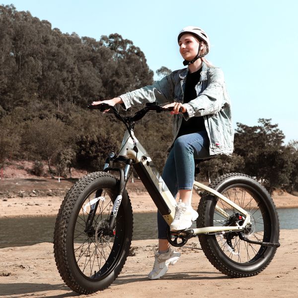 F612 F622 Fat Tire Ebike 750W Motor 7 Speed Hydraulic Disc Brake Fat Bike for Snow Beach City Mountain Bike
