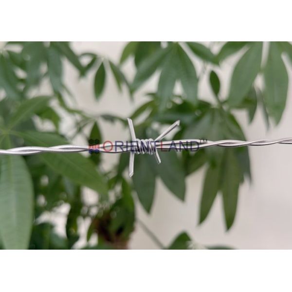 2.0mm Double Twist Barbed Wire 200m Barbed Wire Fencing 5inch Barb Spacing