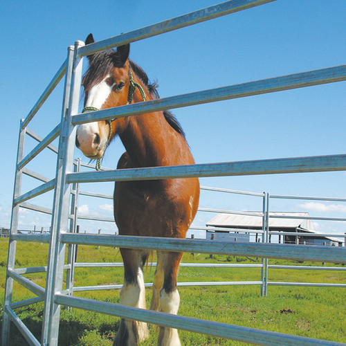 22 Panel Horse Yards Inc Gate,Horse Arenas, Cattle Fences, Corral, 15m Diameter