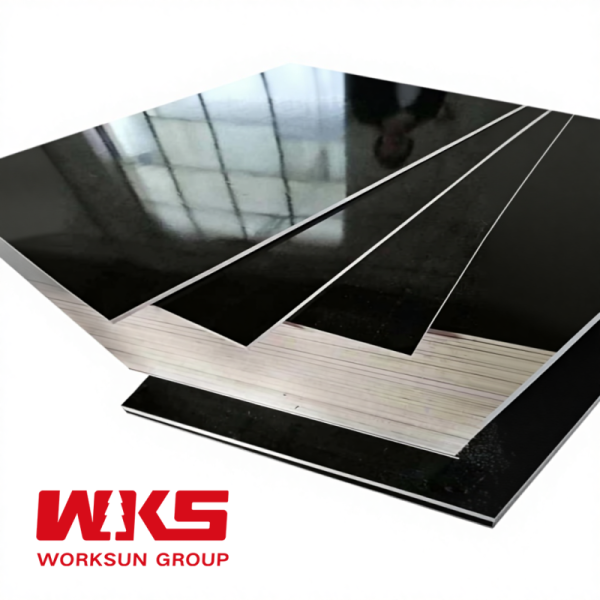 1220x2440mm Phenolic Faced Birch Plywood Customized Black Birch Plywood 18mm