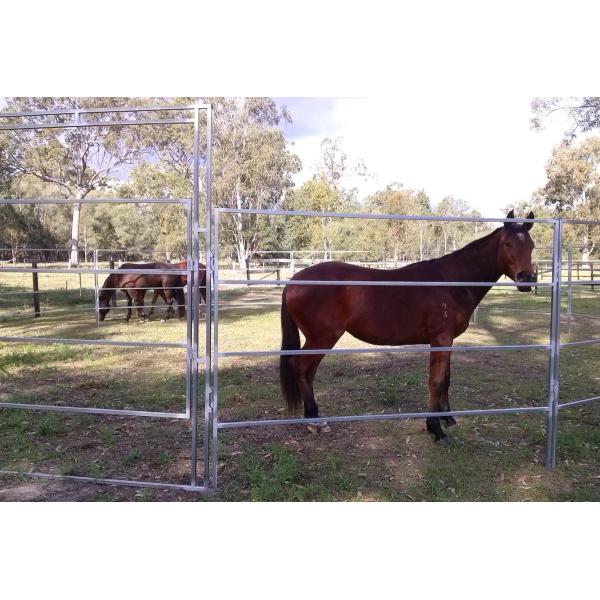 9m Diameter Round Corral Panels 13Pcs incl. 3m tall Gate ". Victoria "