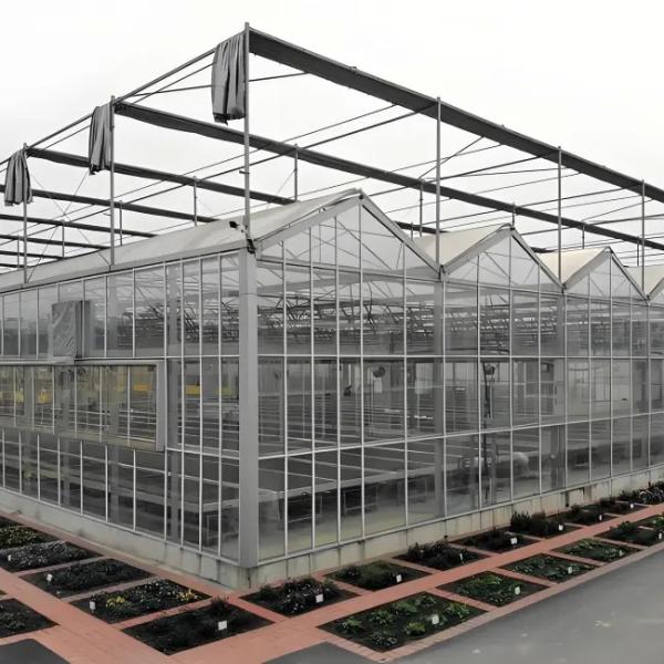 Strong Structure Galvanized Venlo Type Greenhouse Commerical Green House