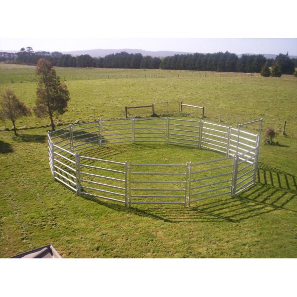 13 Panel Horse Arenas  Inc Gate, round Yard, Cattle Fences, Corral 9m diameter