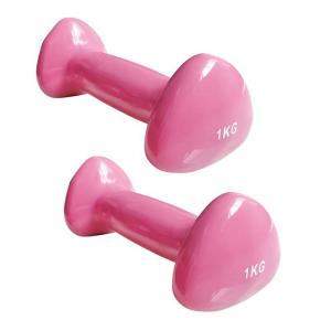 China Cast Iron Gym Equipment Dumbbells Vinyl Dipping Neoprene Coated Colorful on sale