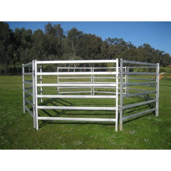 40x40 1.8M x 2.1M Heavy Duty Portable Cow Fence Panels 6 Oval Bars 30*60mm