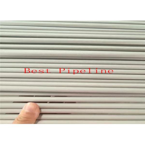 SS TP 202 Stainless Steel Pipe / 6-1000mm Out Diameter Stainless Steel ERW Pipe 