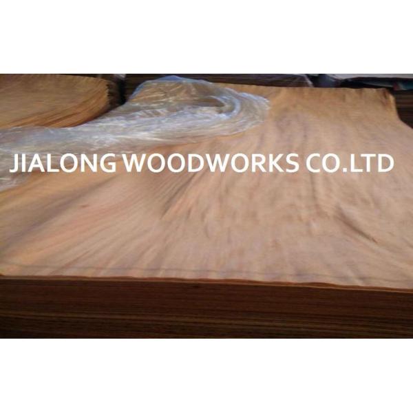 Gurjan Wood Rotary Cut Natural Face Veneer Sheet For Plywood