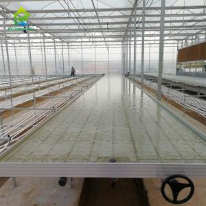 China Movable Agriculture Hydroponic Rolling Benches 4x4 4x8 Flood And Drain Table on sale
