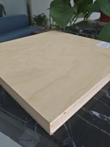 Cheap Birch veneer plywood,face and back birch.poplar core.9mm,12mm,14mm,18mm,21mm,25mm,BIRCH PLYWOOD,POPLAR CORE, for sale