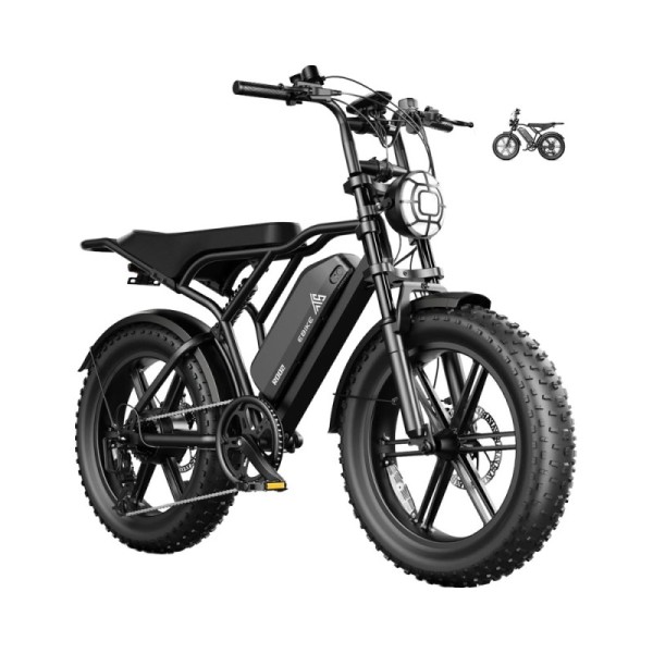TST 1500W for Peak Brushless Rear Hub Motor Electric Dirt Bike 48V 15Ah/20Ah Removable Battery 20\ Hydraulic Suspension Bike