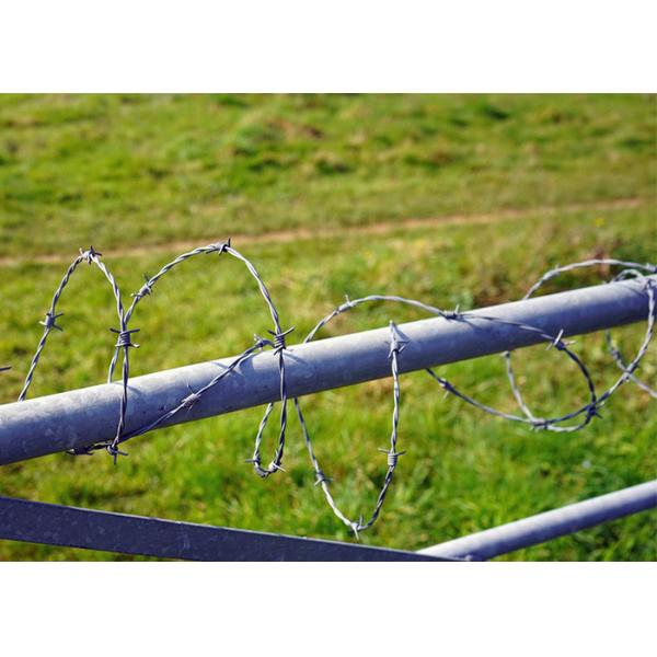Rust Resistance Single Strand Galvanized Steel Barbed Wire Fence Construction Protection