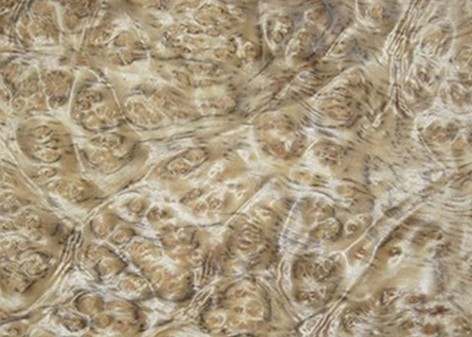 0.5 mm Mappa Burl Wood Veneer , Nardwood Thin Wood Veneer Sheets
