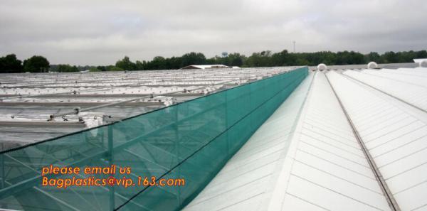 Green Construction Building Scaffolding Safety Net /Safety Mesh Netting,construction scaffold net/scaffolding net/scaffo
