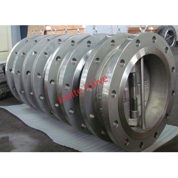 Horizontal Vertical Cast Check Valve , Lug Double Check Valve OEM Service