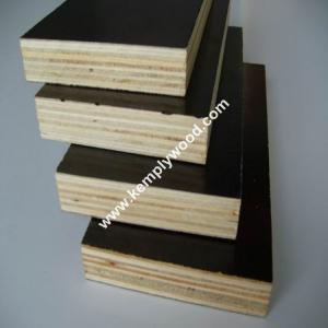 Cheap Phenolic film faced plywood board price/ structural plywood/ film faced shuttering plywood for sale