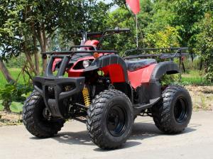 Cheap 200cc Air Cooled Manual Clutch Four Wheel ATV With Front Double A - Arm for sale