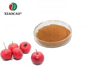 Cheap Natural Hawthorne Herb Extract Prevent Cardiovascular Diseases Decreasing Blood Lipid for sale