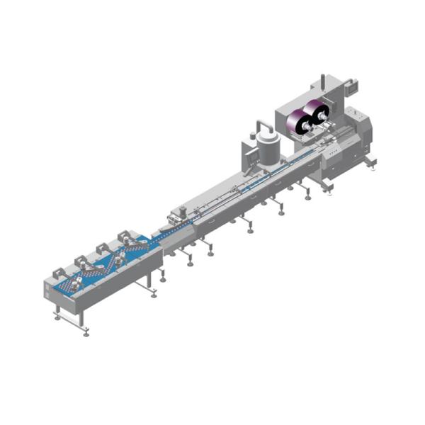Fully Automatic Chocolate Bar/Biscuit/Cake Flowing Packing Machine Food Wrapping Machine Line