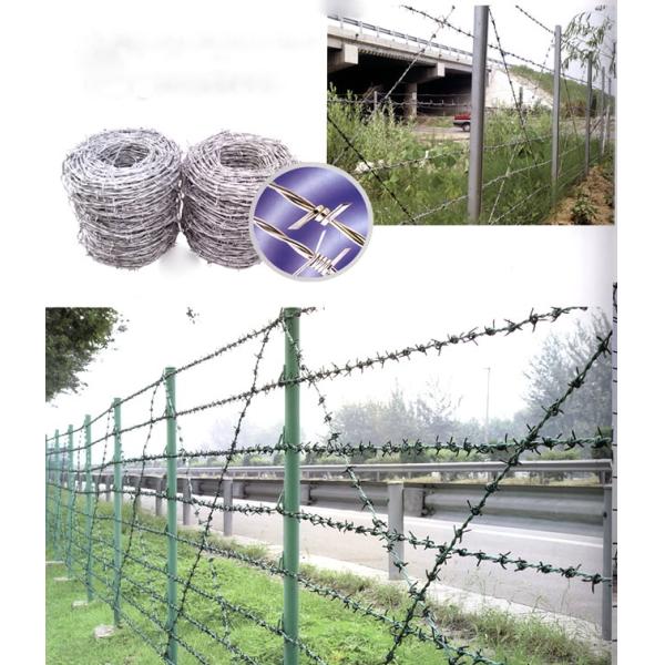 Factory price razor wire fence/ razor barbed wire/ concertina razor wire