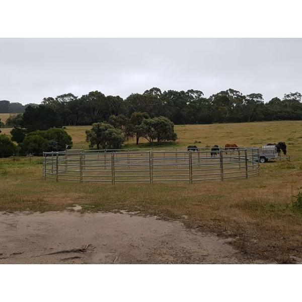 15pcs Bundle Heavy Duty Portable Cattle Panels For Sale & Gate