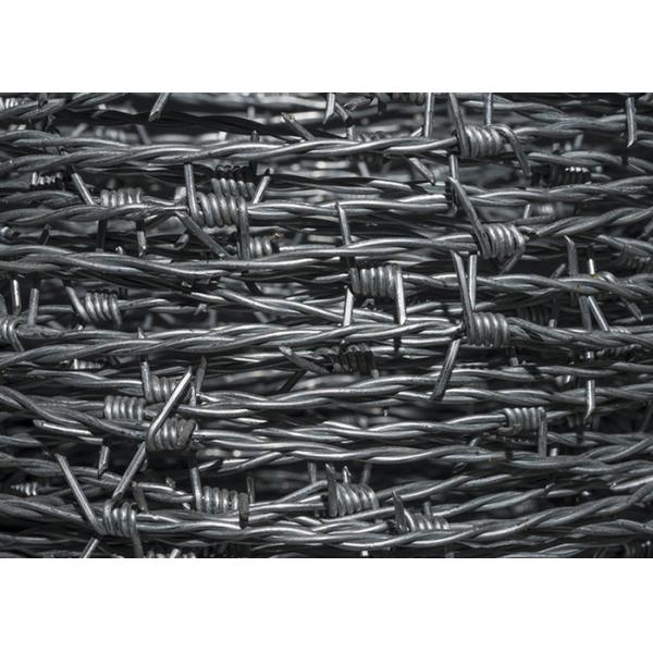 Farm Protection Double Strand Traditional Twist Barbed Wire Fence