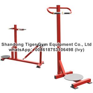 Cheap Gym Fitness Equipment Stand Torso exercise machine for sale