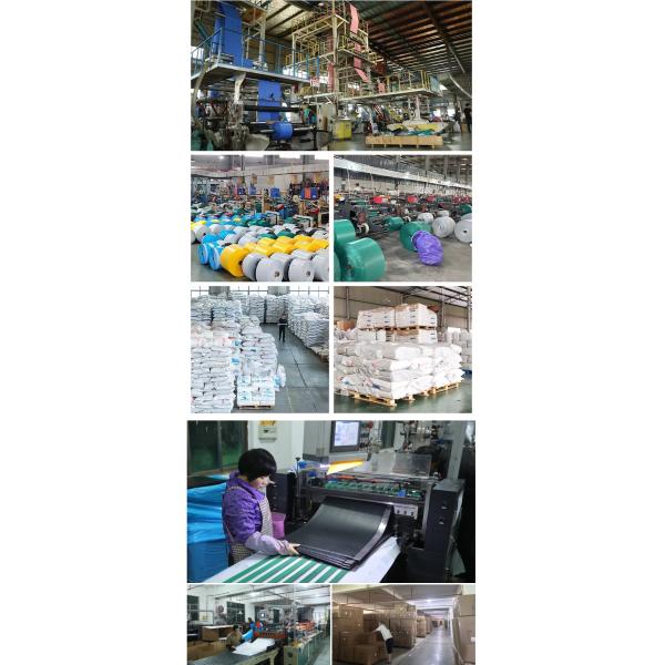 DONGGUAN DINUO PACKAGING CO., LTD