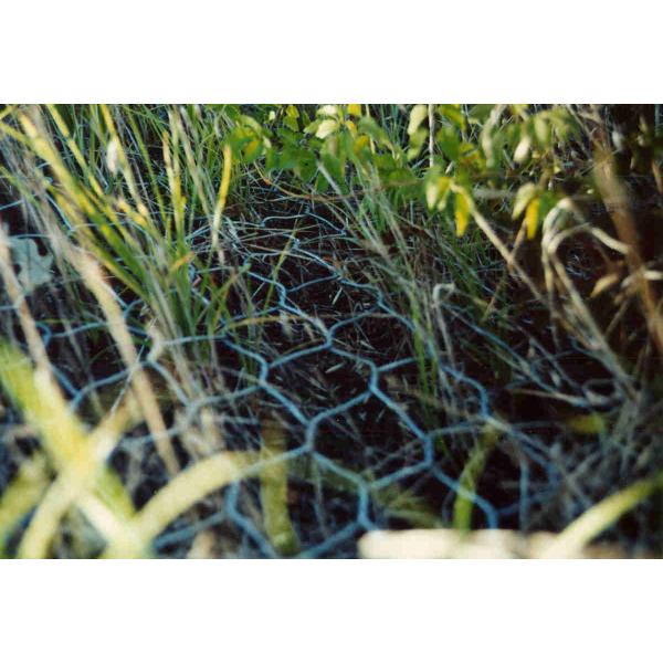 PE Coated Plastic Gabion Mesh Retaining Earth Or Water Structure