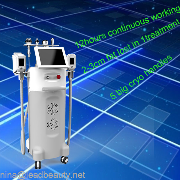 1000 W Output Power Effectively cryolipolysis slimming fat lose multi-functional