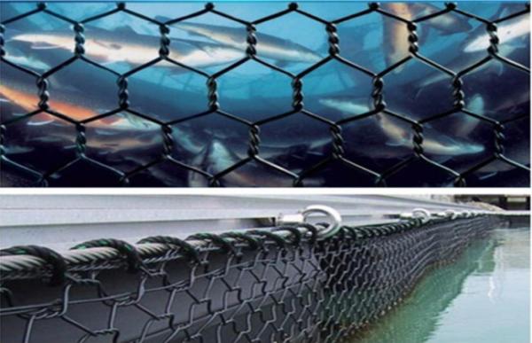 3×4cm 5x6cm Gabion Mesh Basket Polyester Kikko Net For Deepsea Fish Breeding