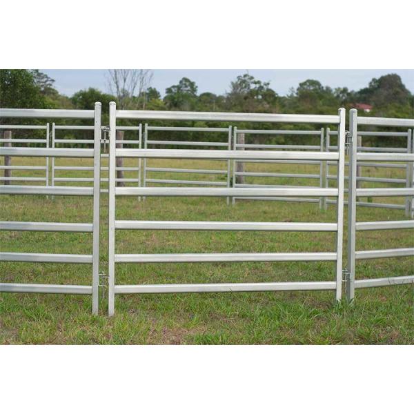 Portable Corral Panels For Cattle Permanent Yards Heavy Duty  Cattle Yards