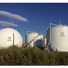 Biogas Plant Project
