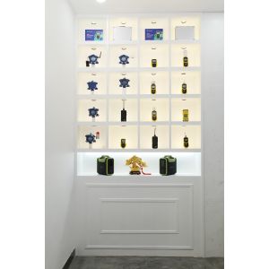 Shenzhen YuanTe Technology Co., Ltd. (Safegas)