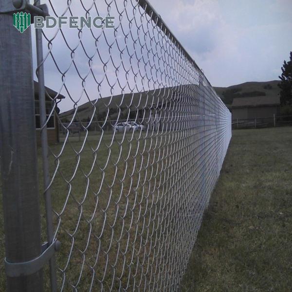 4FT 5FT 6FT 2m 8FT Farm Field Galvanized Chain Link Fence Steel Wire Mesh Metal Fencing